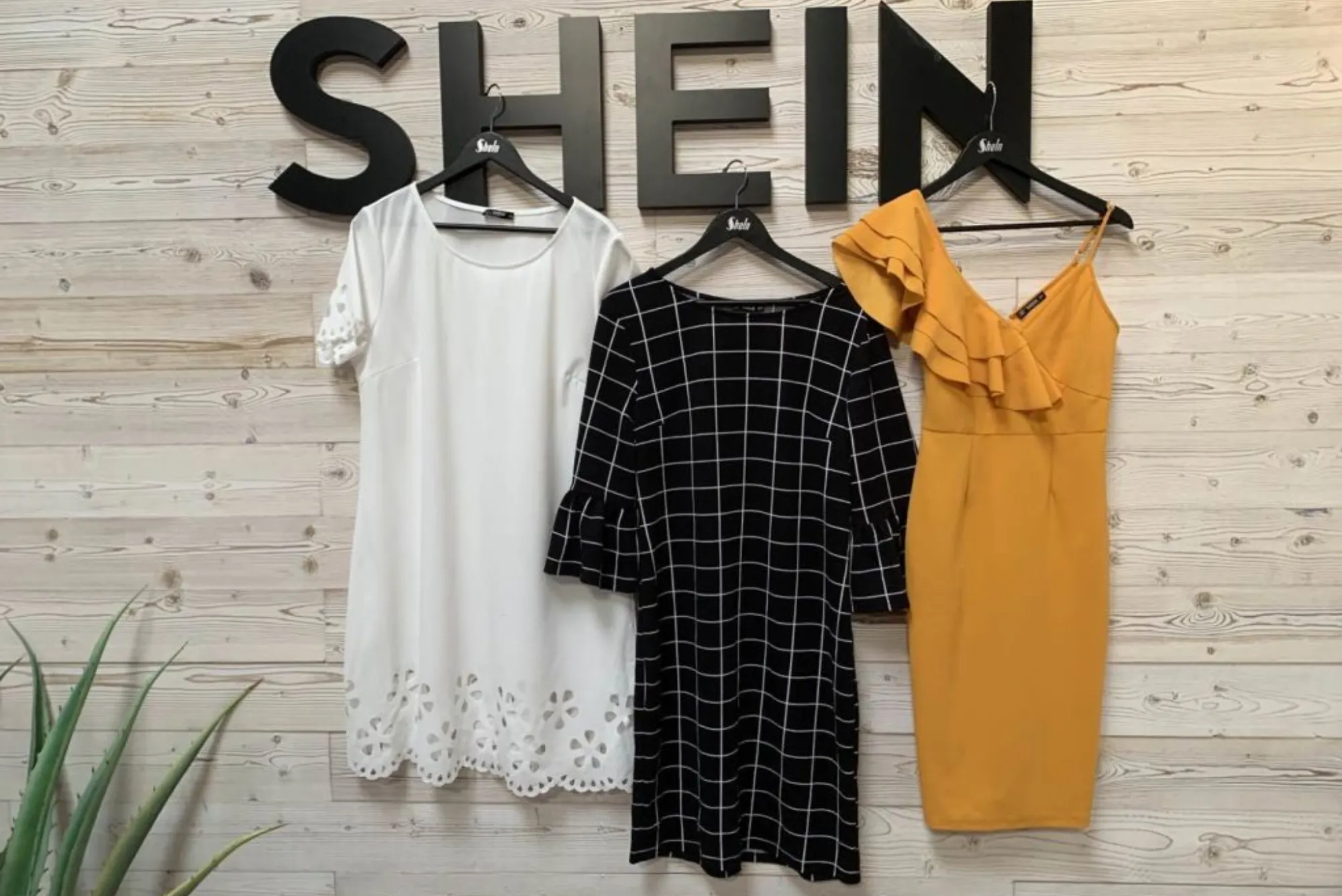 Is Shein a Chinese Company Unraveling the Origins of Shein in Dubai