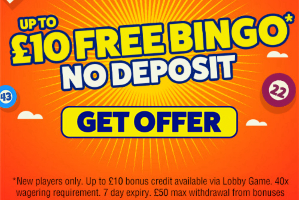 No Deposit Bingo Free Money