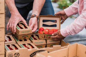 Packaging innovation