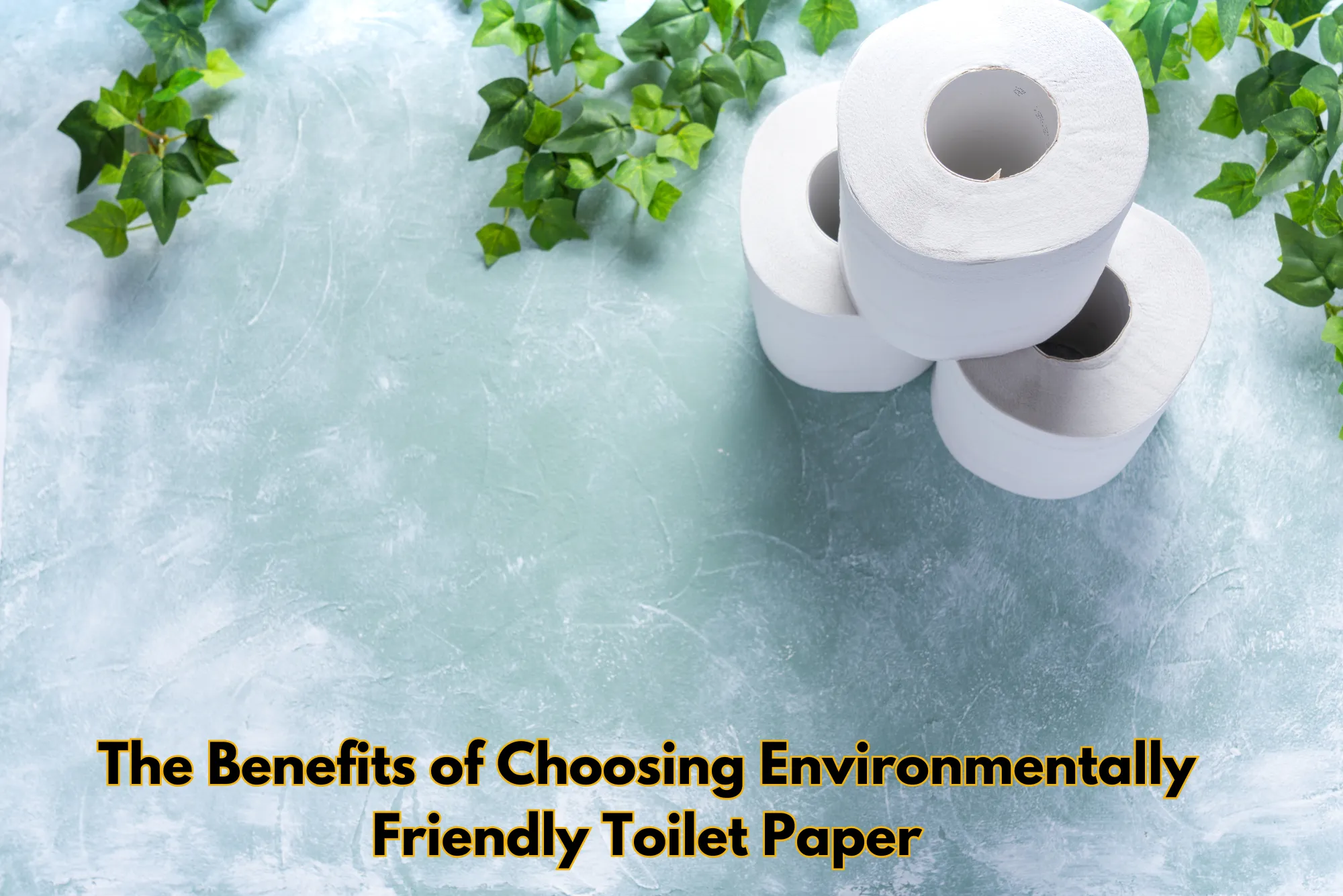 The Benefits of Choosing Environmentally Friendly Toilet Paper