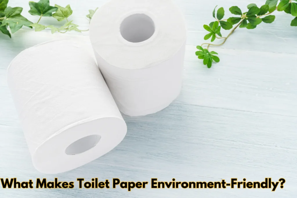 What Makes Toilet Paper Environment-Friendly