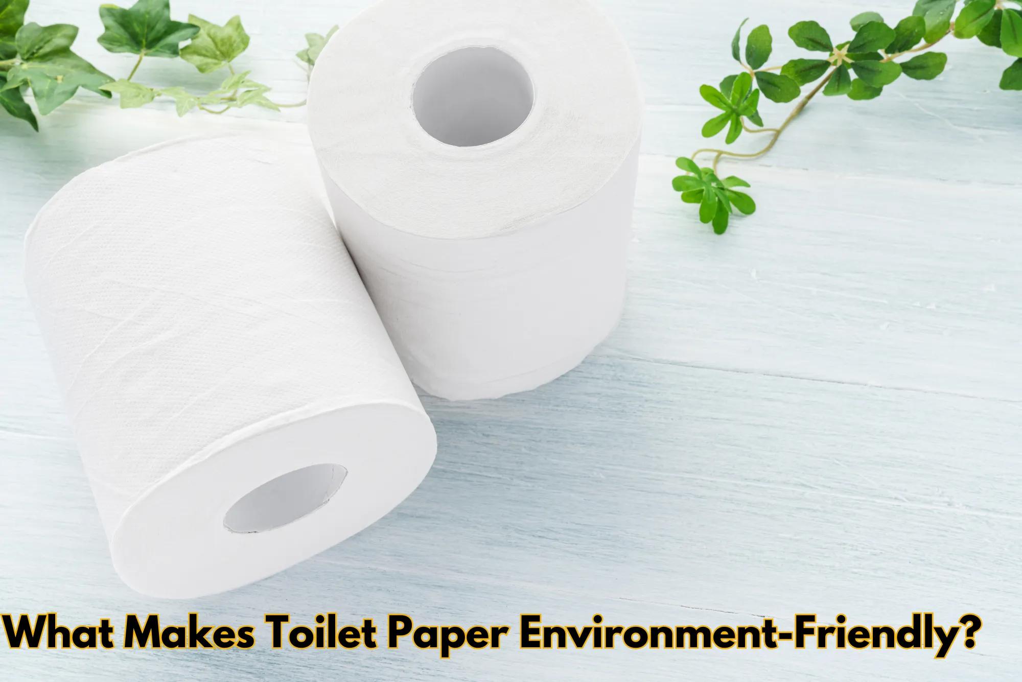 What Makes Toilet Paper Environment-Friendly