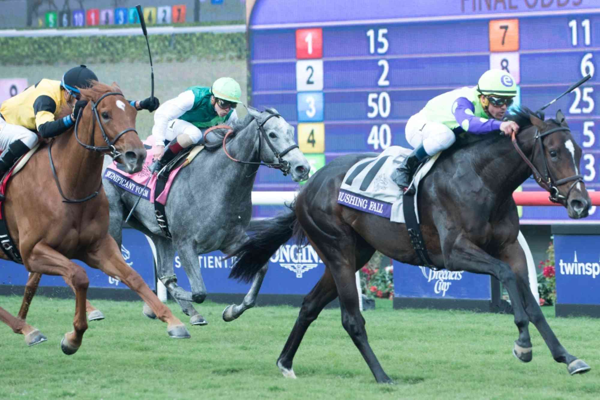 How to bet on horse racing?